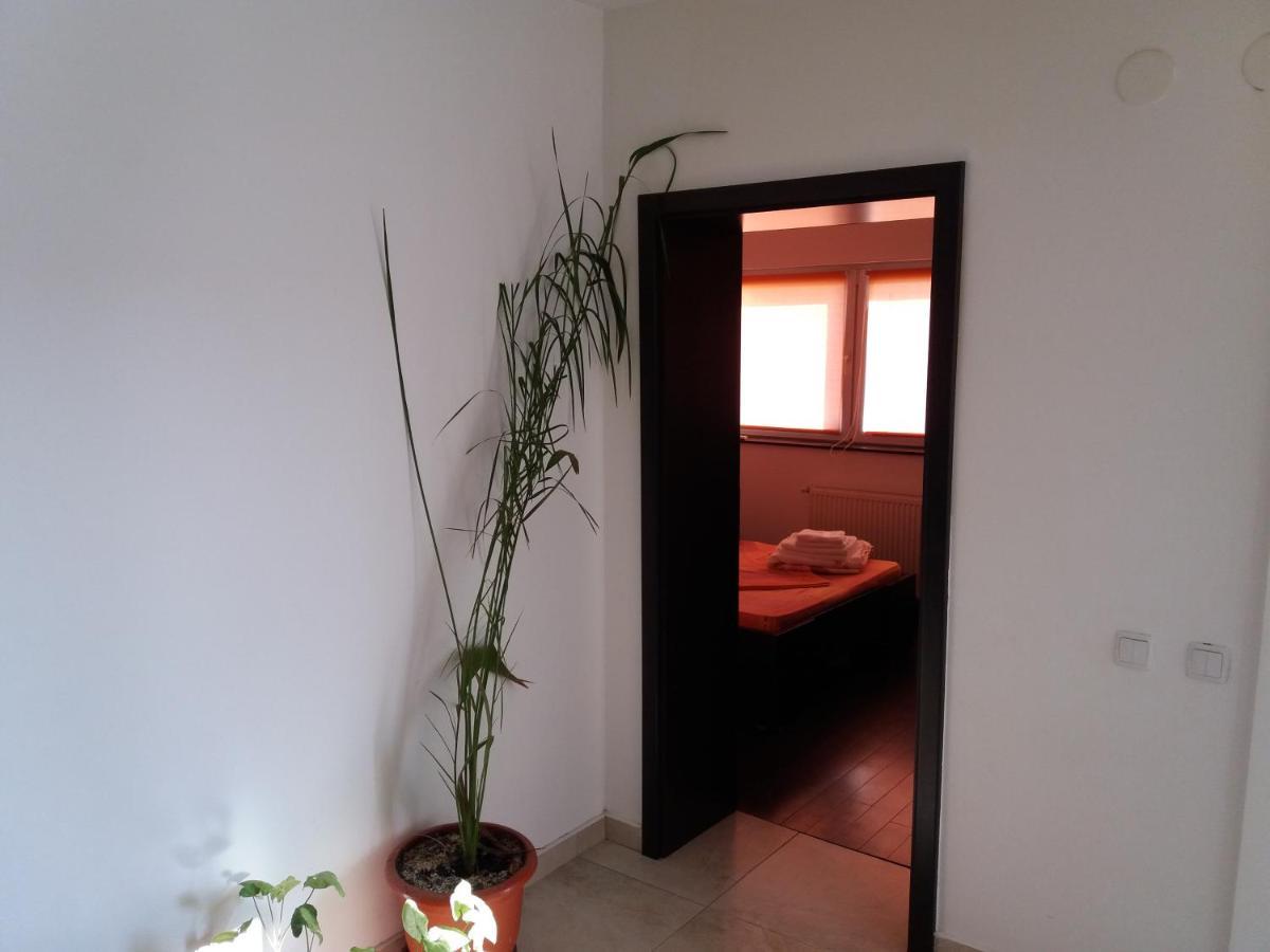 Apartament Kamino Navodari Exterior photo